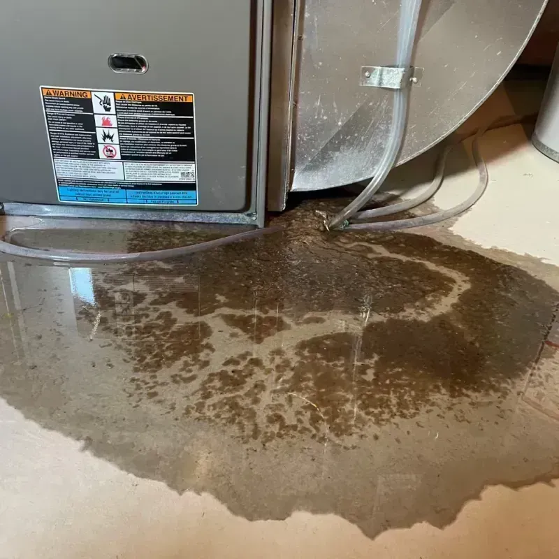 Appliance Leak Cleanup in Greensburg, LA